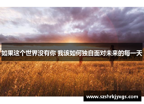 如果这个世界没有你 我该如何独自面对未来的每一天 如果这个世界没有你 我该如何独自面对未来的每一天